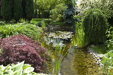 Image showing peaceful garden