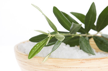 Image showing fresh olive branch and bath salt isolated on the white backgroun