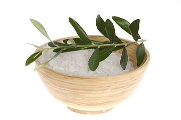 Image showing fresh olive branch and bath salt isolated on the white backgroun