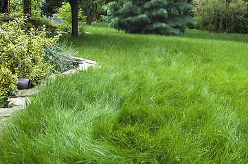 Image showing peaceful garden