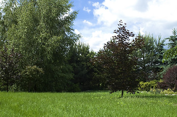 Image showing peaceful garden