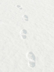 Image showing Footprints in the Snow