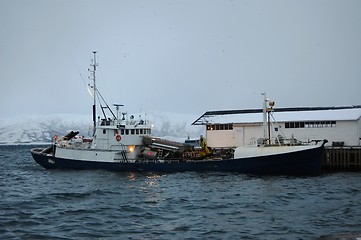 Image showing Fishingboat filled with herring