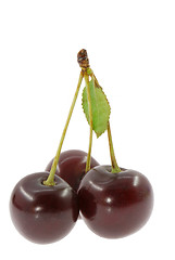 Image showing Cherry