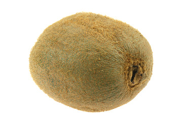 Image showing Kiwi