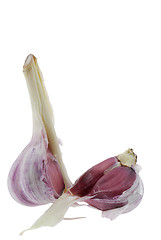 Image showing Garlic