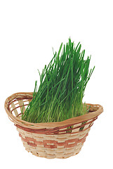 Image showing Grass