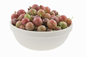 Image showing Gooseberry