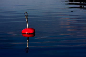 Image showing bouy