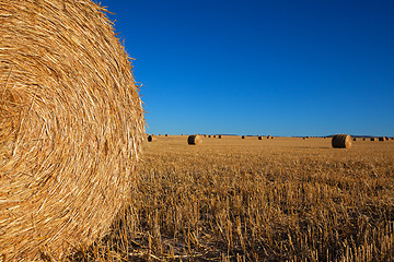 Image showing Big Round Haybales