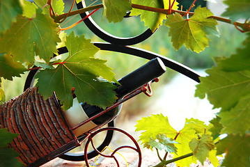 Image showing Wine bottle between vine leaves