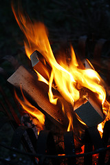 Image showing Bonfire