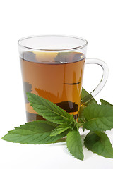 Image showing Peppermint tea