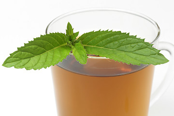Image showing Peppermint tea
