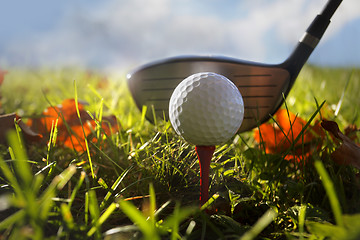 Image showing Golf club and ball in grass