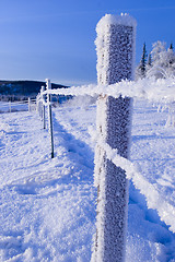 Image showing FROZEN: fence