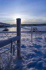 Image showing FROZEN: fence 3