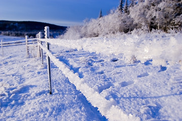 Image showing FROZEN: fence 2