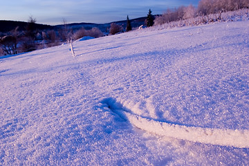 Image showing FROZEN: snow diving cable 02