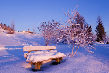 Image showing FROZEN: bench