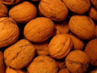 Image showing nuts