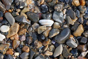 Image showing shot of a group of pebbles 