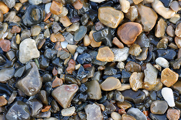 Image showing shot of a group of pebbles 