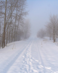 Image showing Railway covered the snow