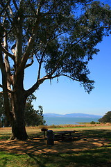 Image showing Picnic Area