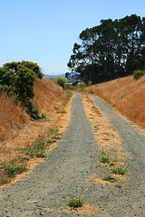 Image showing Trail In A Park