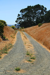 Image showing Trail In A Park