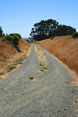 Image showing Trail In A Park