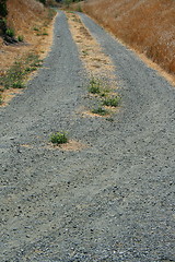 Image showing Trail In A Park