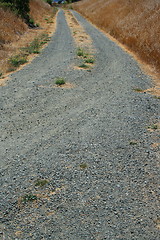 Image showing Trail In A Park