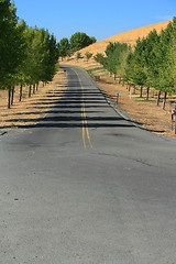 Image showing Road In A Park