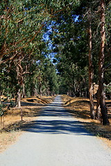 Image showing Road In A Park