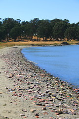 Image showing Seascape