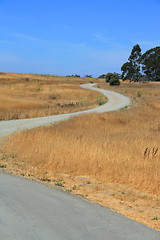 Image showing Windy Road