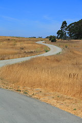 Image showing Windy Road