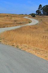 Image showing Windy Road