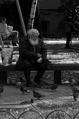 Image showing Old man with pigeons