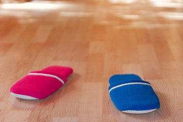 Image showing Slippers