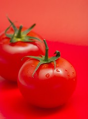 Image showing Tomato