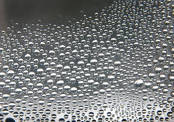 Image showing Droplets