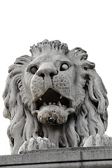 Image showing Stone lion