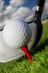 Image showing  Golf club and ball in grass