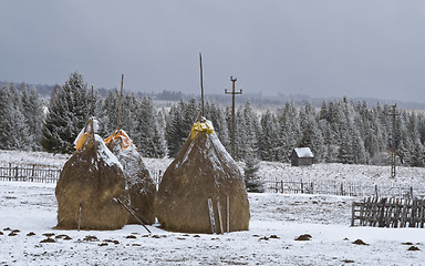 Image showing Rural landscape in winter