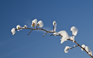 Image showing Winter abstract