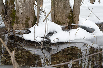 Image showing Canadian Winter Thaw