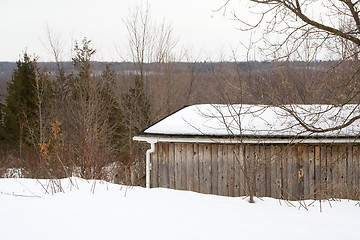 Image showing Gray Canadian Winter